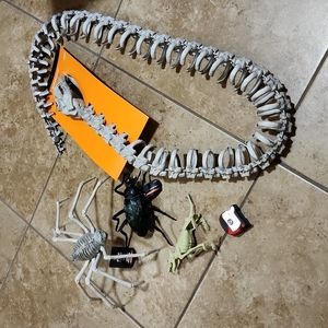 Halloween skeleton snake, spider, cockaroach and dog